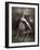 Twitterzoom-Lynne Davies-Framed Photographic Print