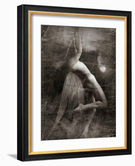 Twitterzoom-Lynne Davies-Framed Photographic Print