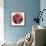 Twixt Heaven & Earth Vii-A (Acrylic on Circular Board)-Sara Hayward-Framed Giclee Print displayed on a wall