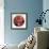 Twixt Heaven & Earth Vii-A (Acrylic on Circular Board)-Sara Hayward-Framed Giclee Print displayed on a wall