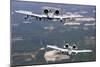 Two A-10C Thunderbolt Aircraft Near Moody Air Force Base, Georgia-null-Mounted Photographic Print