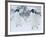 Two Adelie Penguins Walking on Snow, Antarctica-Edwin Giesbers-Framed Photographic Print