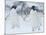 Two Adelie Penguins Walking on Snow, Antarctica-Edwin Giesbers-Mounted Photographic Print