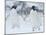 Two Adelie Penguins Walking on Snow, Antarctica-Edwin Giesbers-Mounted Photographic Print