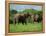 Two African Elephants Greeting, Kruger National Park, South Africa, Africa-Paul Allen-Framed Premier Image Canvas