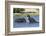 Two African elephants (Loxodonta africana) sparring in the River Khwai, Khwai Concession, Okavango -Sergio Pitamitz-Framed Photographic Print