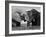 Two African Elephants Playing in River Chobe, Chobe National Park, Botswana-Tony Heald-Framed Photographic Print