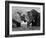 Two African Elephants Playing in River Chobe, Chobe National Park, Botswana-Tony Heald-Framed Photographic Print