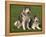 Two Alaskan Malamute Dogs, USA-Lynn M. Stone-Framed Premier Image Canvas