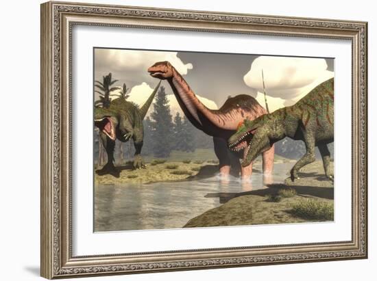 Two Allosaurus Dinosaurs Attacking a Large Apatosaurus-Stocktrek Images-Framed Art Print