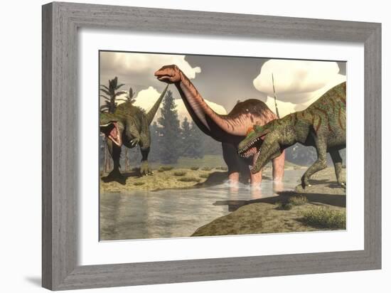 Two Allosaurus Dinosaurs Attacking a Large Apatosaurus-Stocktrek Images-Framed Art Print