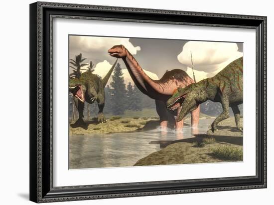 Two Allosaurus Dinosaurs Attacking a Large Apatosaurus-Stocktrek Images-Framed Art Print