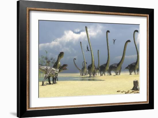 Two Allosaurus Predators Prepare for an Attack on a Herd of Omeisaurus-Stocktrek Images-Framed Art Print