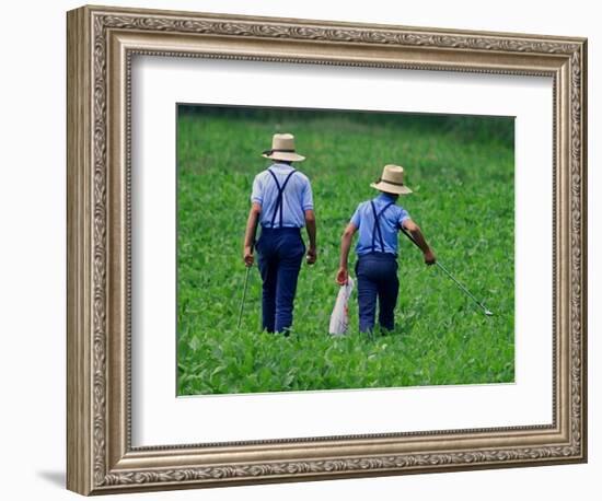 Two Amish Boys Walk with Their Golf Clubs Through a Field of Soy Beans-null-Framed Photographic Print