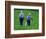 Two Amish Boys Walk with Their Golf Clubs Through a Field of Soy Beans-null-Framed Photographic Print