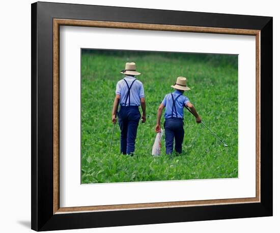 Two Amish Boys Walk with Their Golf Clubs Through a Field of Soy Beans-null-Framed Photographic Print