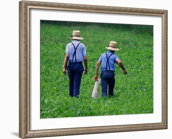 Two Amish Boys Walk with Their Golf Clubs Through a Field of Soy Beans-null-Framed Photographic Print