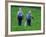 Two Amish Boys Walk with Their Golf Clubs Through a Field of Soy Beans-null-Framed Photographic Print