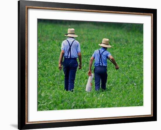 Two Amish Boys Walk with Their Golf Clubs Through a Field of Soy Beans-null-Framed Photographic Print