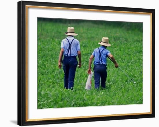 Two Amish Boys Walk with Their Golf Clubs Through a Field of Soy Beans-null-Framed Photographic Print