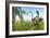 Two Apatosaurus Dinosaurs in a Lush Cretaceous Jungle-null-Framed Art Print