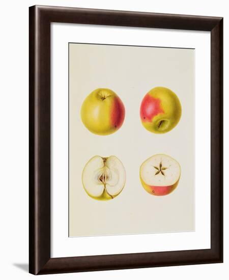 Two Apples Sectioned-null-Framed Giclee Print