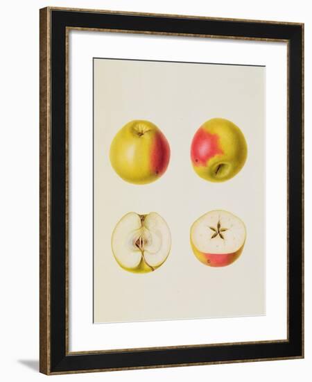 Two Apples Sectioned-null-Framed Giclee Print