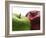 Two Apples-Gustavo Andrade-Framed Photographic Print