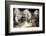 Two Arctic Foxes (Alopex Lagopus) Trygghamna, Svalbard, Norway, July 2008-de la-Framed Photographic Print