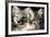 Two Arctic Foxes (Alopex Lagopus) Trygghamna, Svalbard, Norway, July 2008-de la-Framed Photographic Print