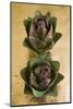 Two Artichokes, Cuisine-Nico Tondini-Mounted Photographic Print