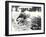 Two Asian Elephants Bathing in Pool at London Zoo, Watched by Keeper and Visitor Crowd, June 1914-Frederick William Bond-Framed Photographic Print