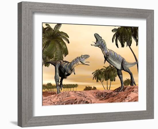 Two Aucasaurus Dinosaurs Fighting in Desert-null-Framed Art Print