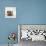 Two Baby Crested Guinea Pigs, One-Day-Jane Burton-Photographic Print displayed on a wall