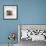 Two Baby Crested Guinea Pigs, One-Day-Jane Burton-Framed Photographic Print displayed on a wall