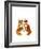 Two Baby Foxes-Wyanne-Framed Giclee Print