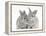 Two Baby Silver Rabbits-Mark Taylor-Framed Premier Image Canvas