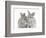 Two Baby Silver Rabbits-Mark Taylor-Framed Photographic Print