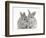 Two Baby Silver Rabbits-Mark Taylor-Framed Photographic Print