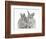 Two Baby Silver Rabbits-Mark Taylor-Framed Photographic Print