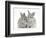 Two Baby Silver Rabbits-Mark Taylor-Framed Photographic Print