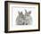 Two Baby Silver Rabbits-Mark Taylor-Framed Photographic Print