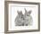 Two Baby Silver Rabbits-Mark Taylor-Framed Photographic Print