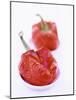 Two Baked Peppers in Small Dishes-Stefan Braun-Mounted Photographic Print