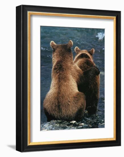 Two Bear Cubs-Art Wolfe-Framed Giclee Print