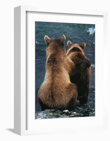 Two Bear Cubs-Art Wolfe-Framed Giclee Print