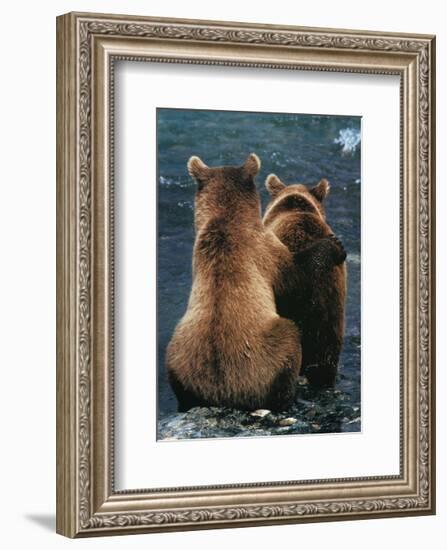 Two Bear Cubs-Art Wolfe-Framed Art Print