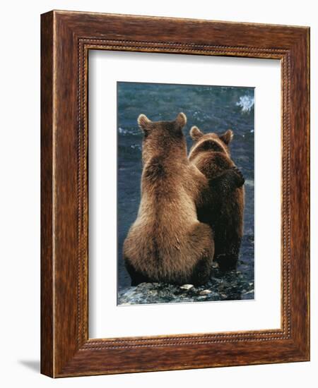 Two Bear Cubs-Art Wolfe-Framed Art Print