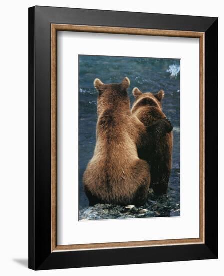 Two Bear Cubs-Art Wolfe-Framed Art Print