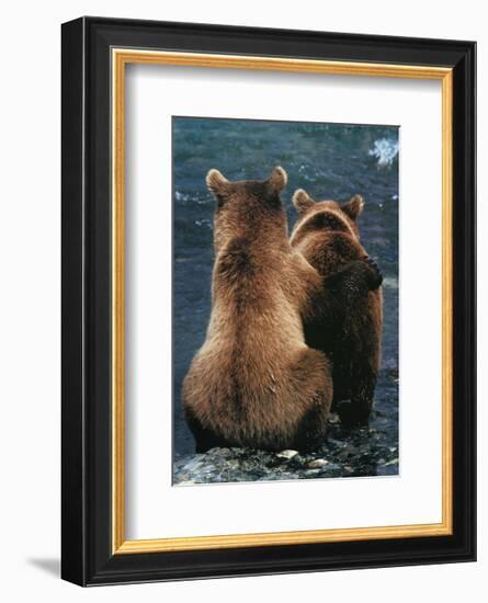 Two Bear Cubs-Art Wolfe-Framed Art Print